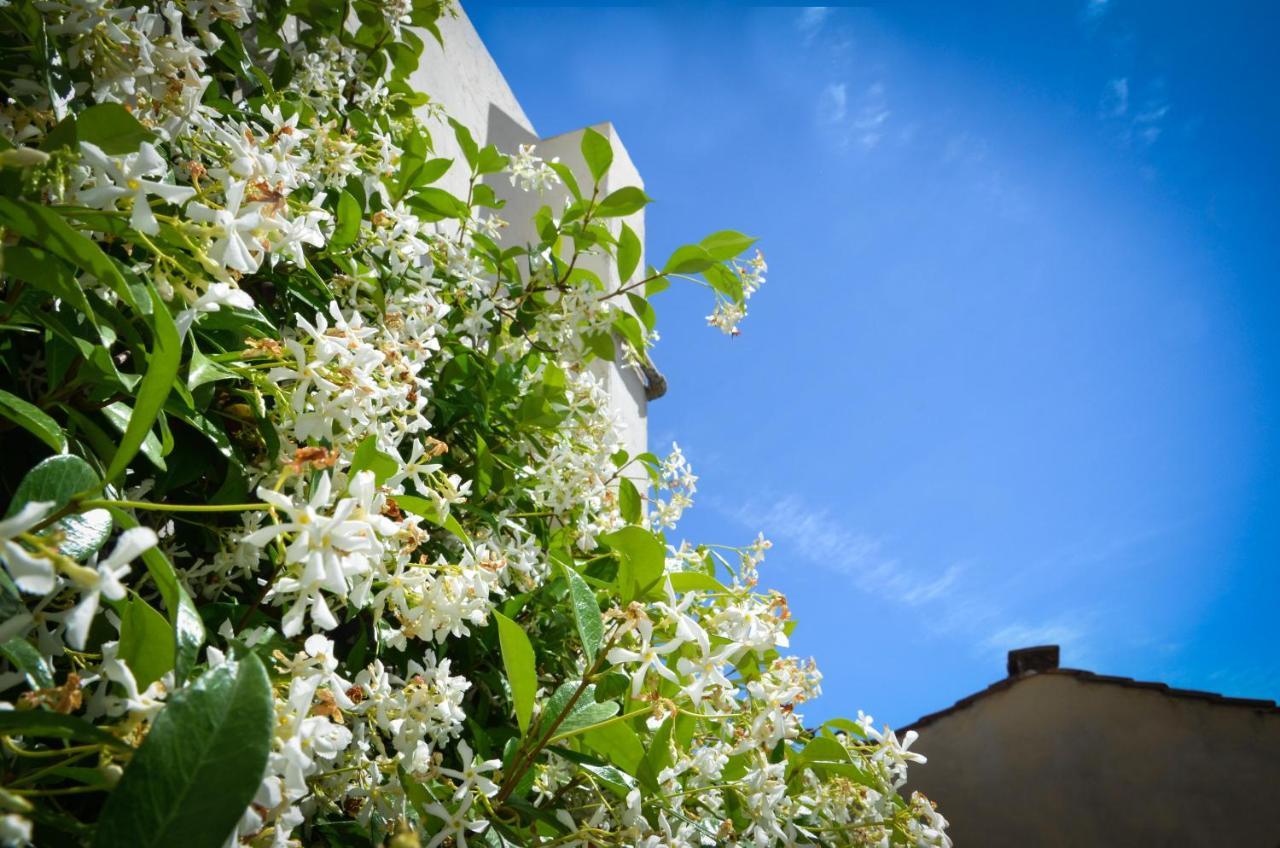 Luxury Apartment Pantheon Roma Exterior foto